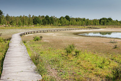 BUITEN BEELD Foto: 319385