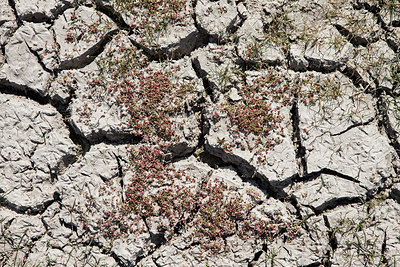 BUITEN BEELD Foto: 319396