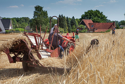 BUITEN BEELD Foto: 319443