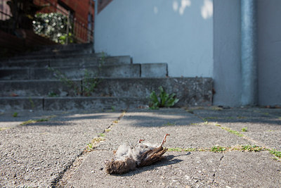 BUITEN BEELD Foto: 319456