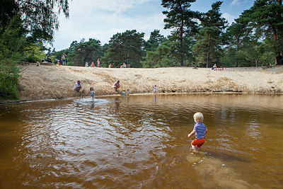BUITEN BEELD Foto: 319459