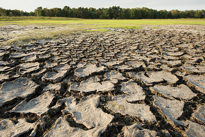 BUITEN BEELD Foto: 319528