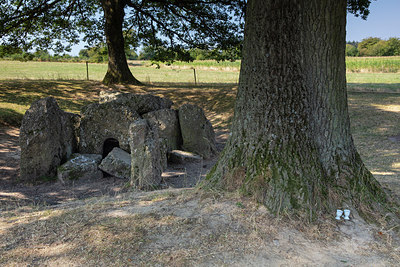 BUITEN BEELD Foto: 319634