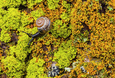 BUITEN BEELD Foto: 319813