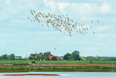 BUITEN BEELD Foto: 320027