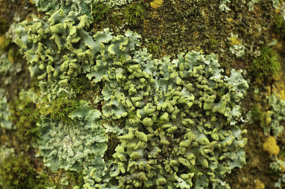 BUITEN BEELD Foto: 320073