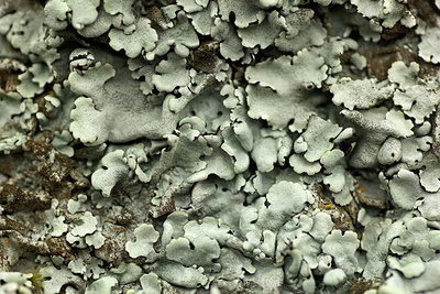 BUITEN BEELD Foto: 320076