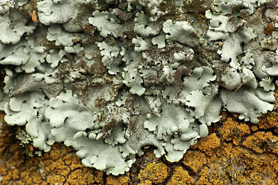 BUITEN BEELD Foto: 320077