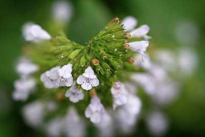 BUITEN BEELD Foto: 320084
