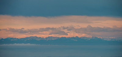 BUITEN BEELD Foto: 320273
