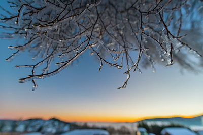 BUITEN BEELD Foto: 320281