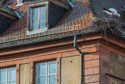 BUITEN BEELD Foto: 320291