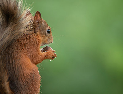 BUITEN BEELD Foto: 320334