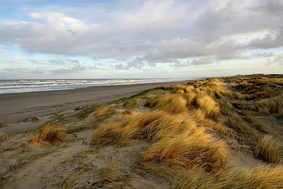 BUITEN BEELD Foto: 320339