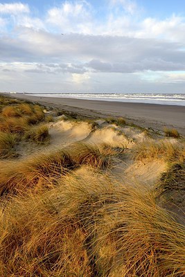 BUITEN BEELD Foto: 320340