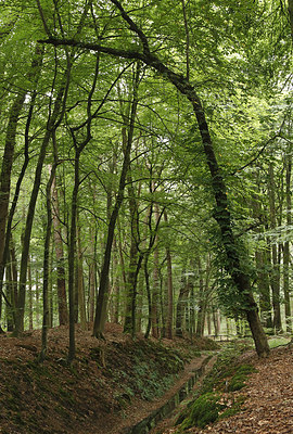 BUITEN BEELD Foto: 320389