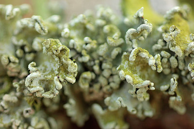 BUITEN BEELD Foto: 320403