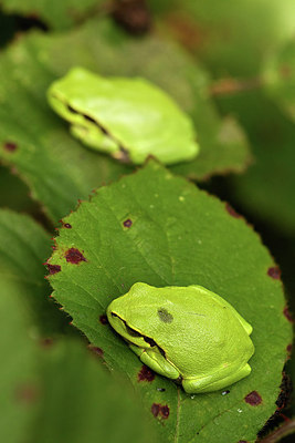 BUITEN BEELD Foto: 320428