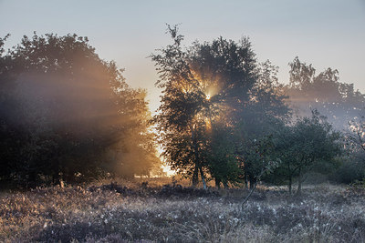 BUITEN BEELD Foto: 320433