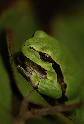 BUITEN BEELD Foto: 320434