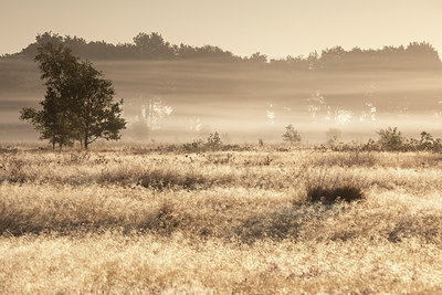 BUITEN BEELD Foto: 320449