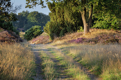 BUITEN BEELD Foto: 320453