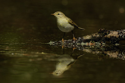 BUITEN BEELD Foto: 320543