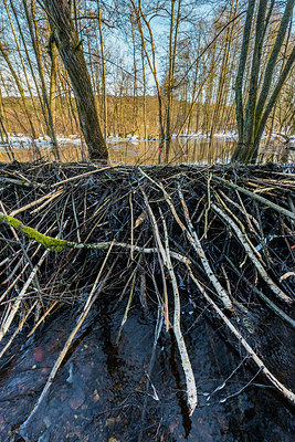 BUITEN BEELD Foto: 320547