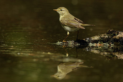 BUITEN BEELD Foto: 320548