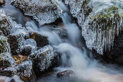 BUITEN BEELD Foto: 320563