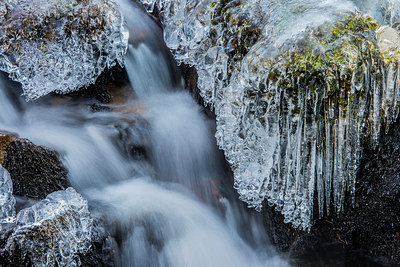 BUITEN BEELD Foto: 320565