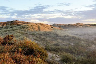 BUITEN BEELD Foto: 320660
