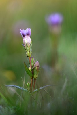 BUITEN BEELD Foto: 320663