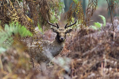 BUITEN BEELD Foto: 320679