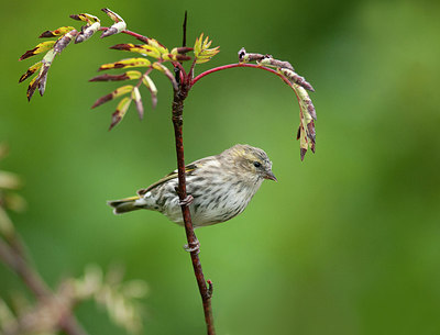 BUITEN BEELD Foto: 320722