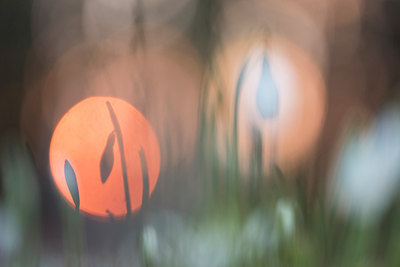 BUITEN BEELD Foto: 320724