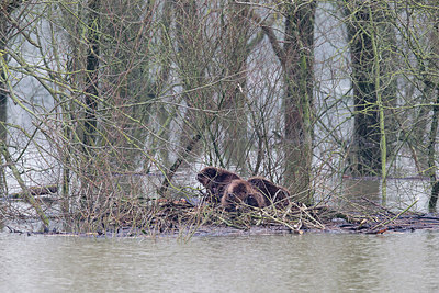 BUITEN BEELD Foto: 320748