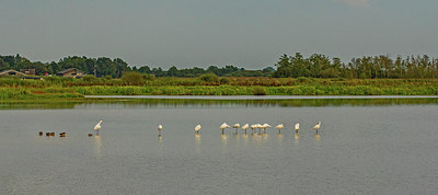 BUITEN BEELD Foto: 320832