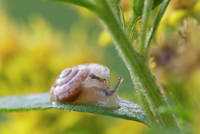 BUITEN BEELD Foto: 320842