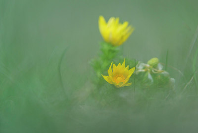 BUITEN BEELD Foto: 320856