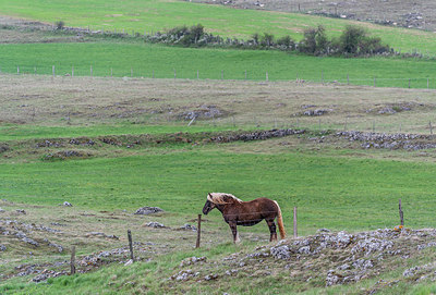 BUITEN BEELD Foto: 320869