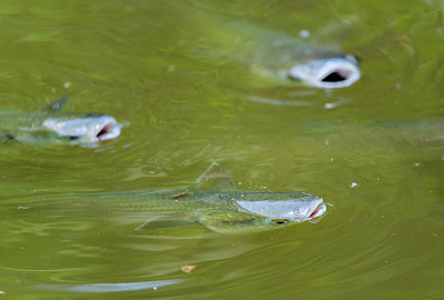 BUITEN BEELD Foto: 320872
