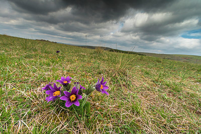 BUITEN BEELD Foto: 320886