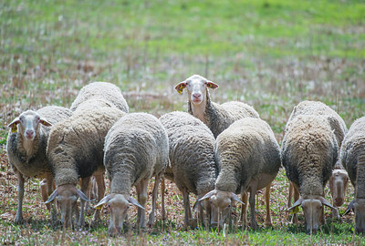 BUITEN BEELD Foto: 320929