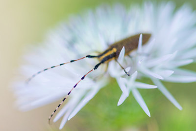 BUITEN BEELD Foto: 320932