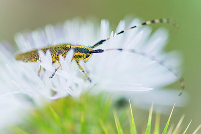 BUITEN BEELD Foto: 320943