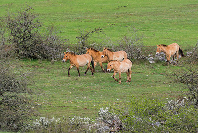 BUITEN BEELD Foto: 320952