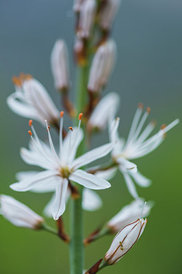 BUITEN BEELD Foto: 320963