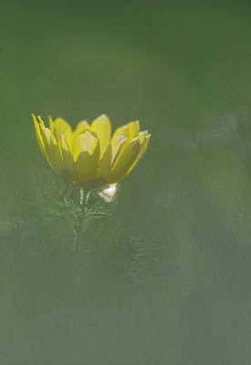 BUITEN BEELD Foto: 321108