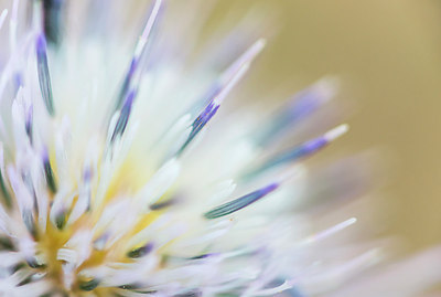BUITEN BEELD Foto: 321140